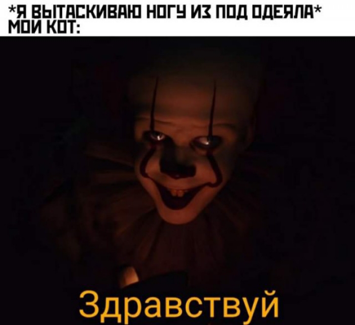 Я ВЫТдЕКИВді П НПГН ИЗ ППд ПдЕЯПд МПИ КПТ ЗдБавствуй