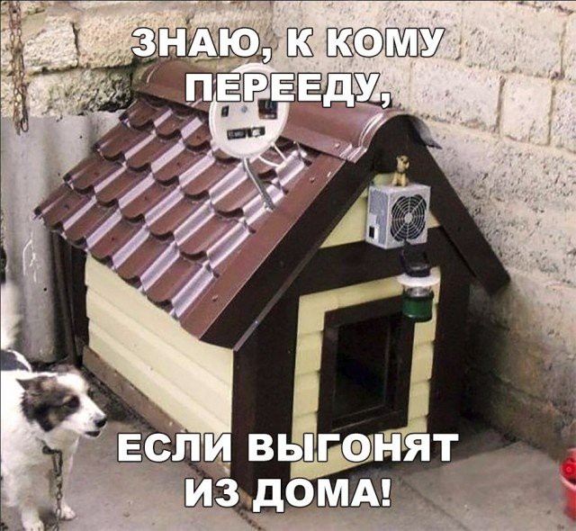 Л_И выгщнят 3чдОМАъ ч _