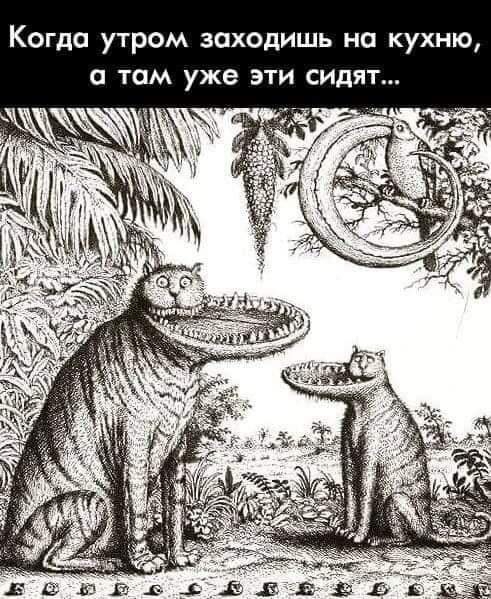 Когда утром заходишь на кухню а там уже эти сидят