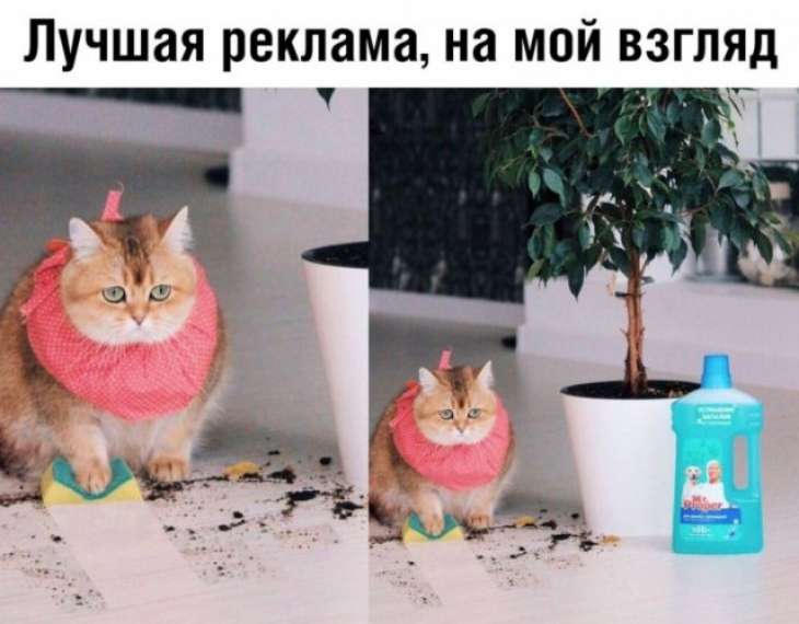 Лучшая реклама на мой ВЗГЛЯД