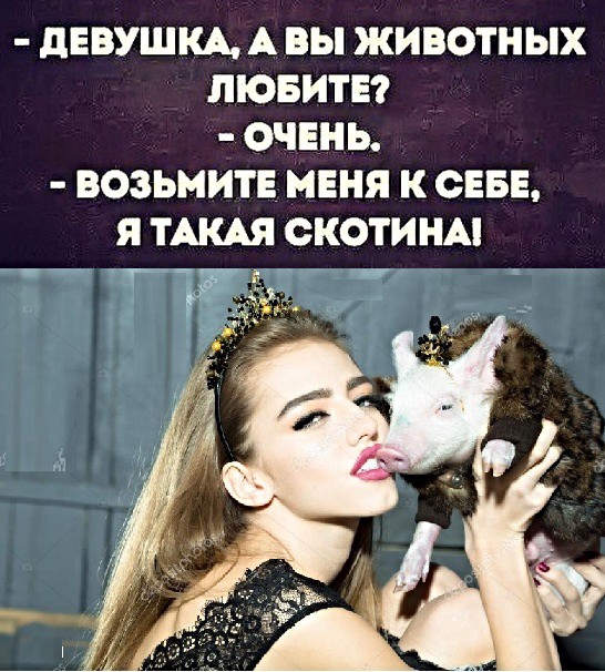 дЕВУШКА А ВЫ ЖИВОТНЫХ ЛЮБИТЕ ОЧЕНЬ ВОЗЬМИТЕ МЕНЯ К СЕБЕ Я ТАКАЯ СКОТИНАі __ 7137
