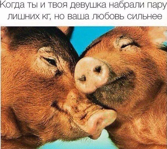 Коша ТЫ и твоя девушка набрали пару лишних кг но ваша любовь сильнее
