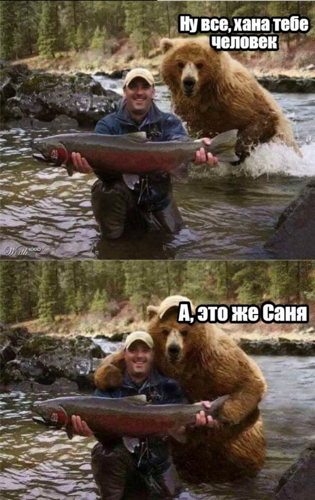 _ ипщцаиатыщ и адм мнении А _