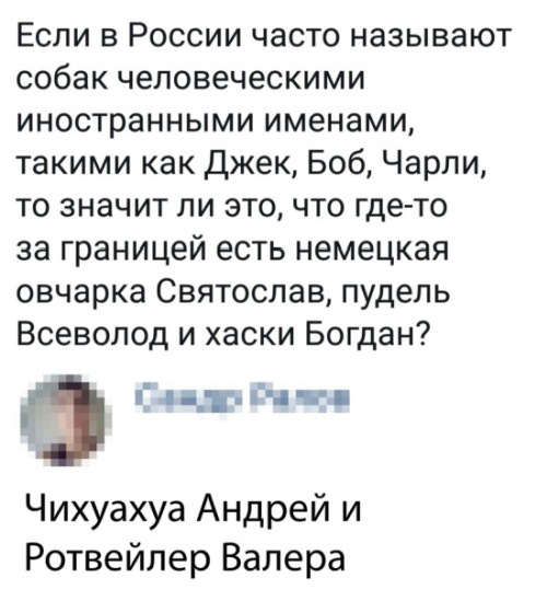 Если в России часто называют собак человеческими иностранными именами такими как Джек Боб Чарли то значит ли это что где то за границей есть немецкая овчарка Святослав пудель Всеволод и хаски Богдан із и __т Гц 1 Чихуахуа Андрей и Ротвейлер Валера