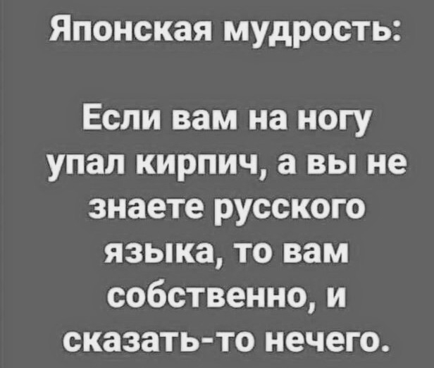 Японская мудрость Если вам на ногу упал кирпич а вы не знаете русского языка то вам собственно и сказать то нечего