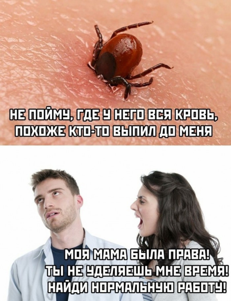 ППИМ АУ ОДЕРОНЕГО ВСЯ КРОВА ПОХОЖЕТКТО ТО ВЫИИЛУДОТМЕНЯХ ДЫ НЕ УДЕЛЯЕШЕЬТ НОБМАЛЬНУЮ РАБОТ