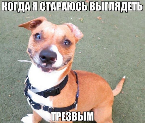 КОГДА Я СТАРАЮСЬ ВЫГЛЯДЕТЬ