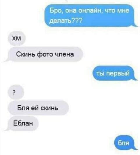 Бро она онлайн что мне делать хм Скинь фото члена Бля ей скинь Еблан