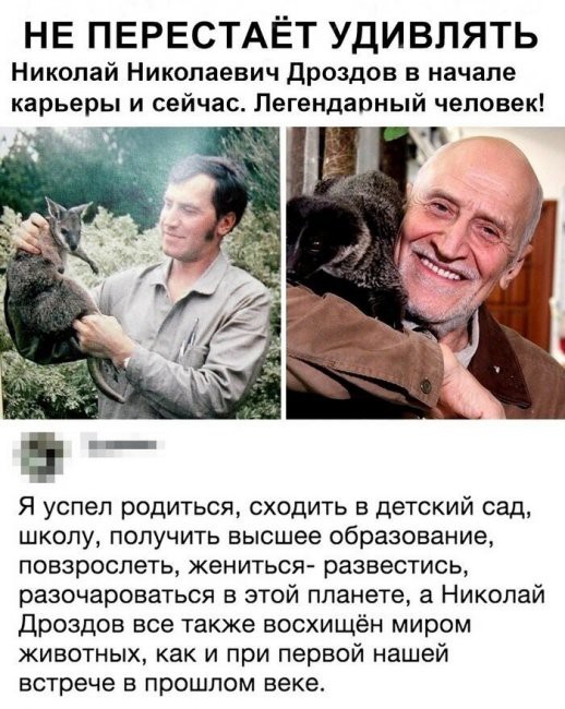 НЕ ПЕРЕСТАЁТ УДИ ВЛЯТЬ Николай Николаевич Дроздов в начале карьеры и сейчас Легендарный человек _ м _ Я успел родиться сходить в детский сад школу получить высшее образование повзрослеть жениться развестись разочароваться в этой планете а Николай Дроздов все также восхищён миром животных как и при первой нашей встрече в прошлом веке