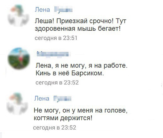 Пена дп Леша Приезжай срочно Тут здоровенная мышь бегает сегодня в 23 51 ЙЬ і Пена я не могу я на работе Кинь в неё Барсиком сегодня 52352 Пена и Не МОГУ ОН У МЕНЯ на ГОЛОВЕ КОГГЯМИ держится сегодня в 2352