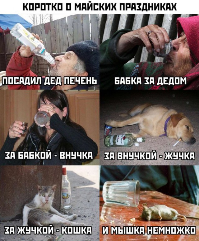 КПРПТКП П МПЙЕКИХ ПРПЗдНИКдХ Ьппддипдвдддвчінё вязки д двдпм