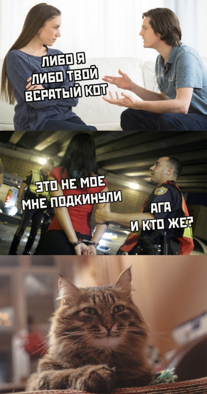 зтп_нг мпг _мнг ппдкинвпи дгд и ктп же