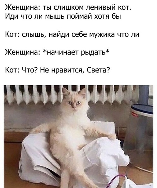 Женщина ты слишком ленивый кот Иди что ли мышь поймай хотя бы Кот слышь найди себе мужика что ли Женщина начинает рыдать Кот Что Не нравится Света