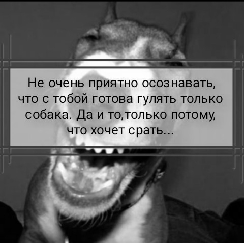 Не очень ПРИЯТНО осознавать ЧТО С ТОбОЙ готова ГУЛЯТЬ ТОЛЬКО собака Да И ТОТ0ПЬКО ПОТОМУ ЧТО хочет срать