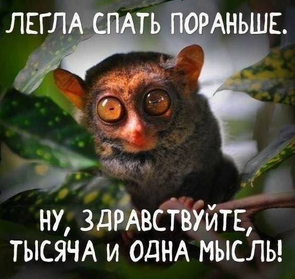 ну здРАвстиГ ТЫСЯЧА и ОДНА мыслы