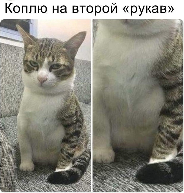 Коппю на второй рукав _7