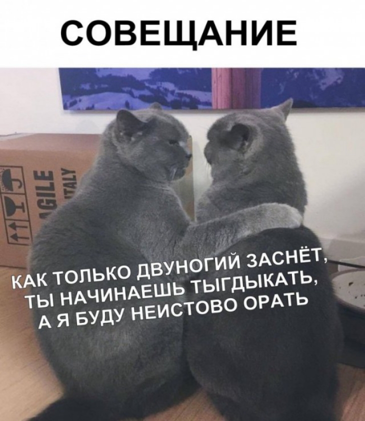 СОВЕЩАНИЕ