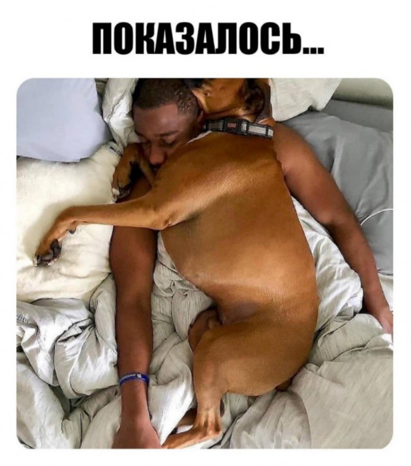 пзшоеь ч