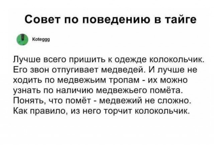 Совет по поведению в тайге Лучше всего пришить к одежде колокольчик Его звон отпугивает медведей И лучше не ходить по медвежьим тропам их можно узнать по наличию медвежьего помёта Понять что помёт медвежий не сложно Как правило из него торчит колокольчик