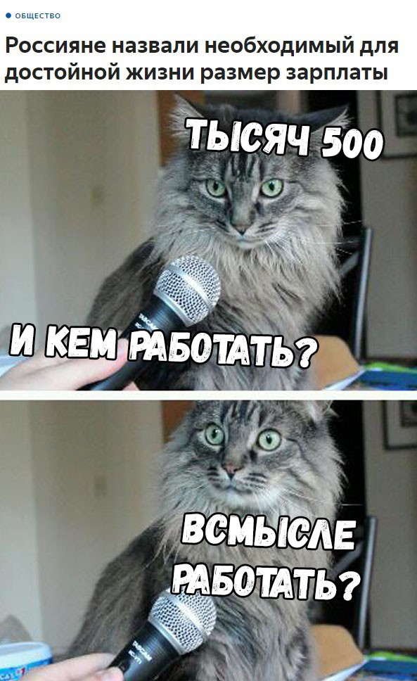 Россияне назвали необходимый для достойной жизни размер зарплаты