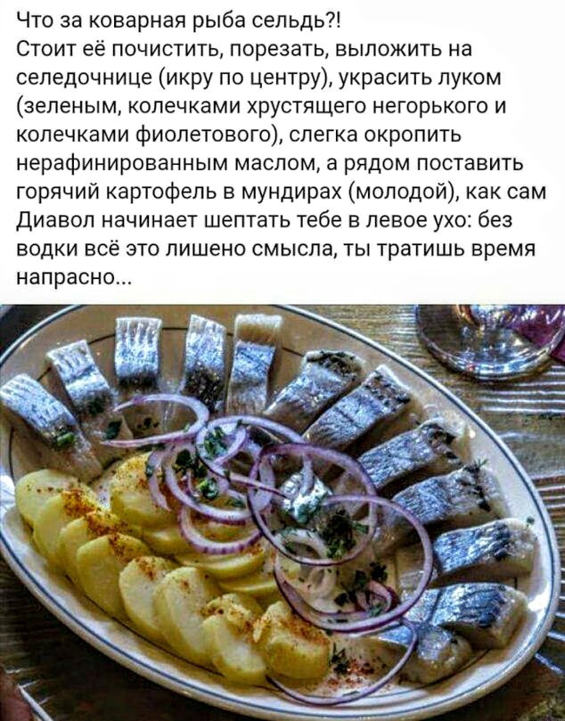 Что за коварная рыба сельдь Стоит её почистить порезать выложить на селедочнице икру по центру украсить луком зеленым колечками хрустящего негорького и колечками фиолетового слегка окропить нерафинированным маслом а рядом поставить горячий картофель в мундирах молодой как сам Диавол начинает шептать тебе в левое ухо без водки всё это лишено смысла ты тратишь время напрасно
