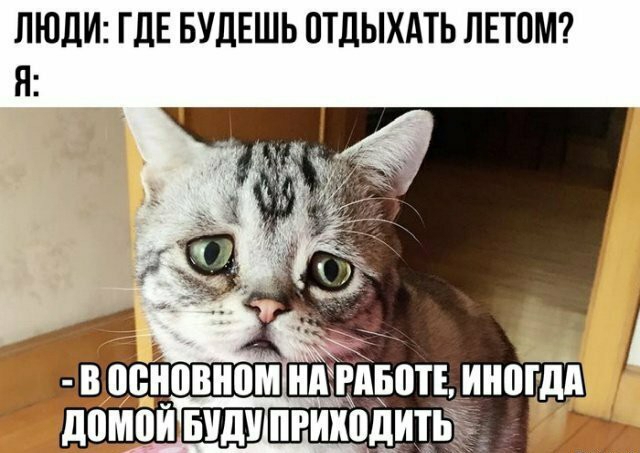 ЛЮДИ ГДЕ БУДЕШЬ ОТДЫХАТЬ ЛЕТОМ востооия РАБОТЕ ИНОГДА ДОМОЙ БУДУПРИХОДИТ