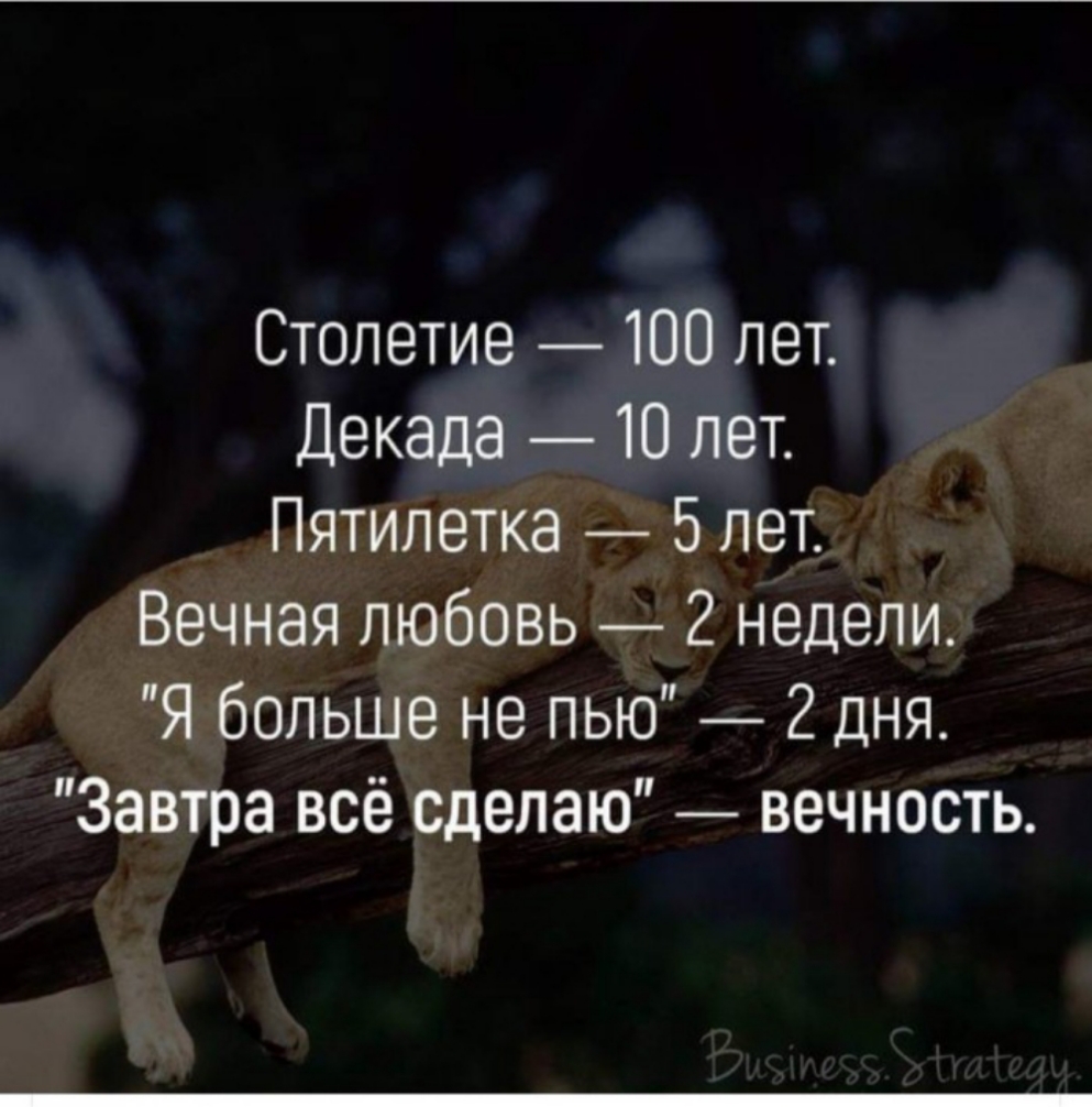 Столетие 100 лет Декада 10 лет Пятилетка 5 лет Вечная любовь 2 недели Я больше не пью 2 дня Завтра всё сделаю вечность