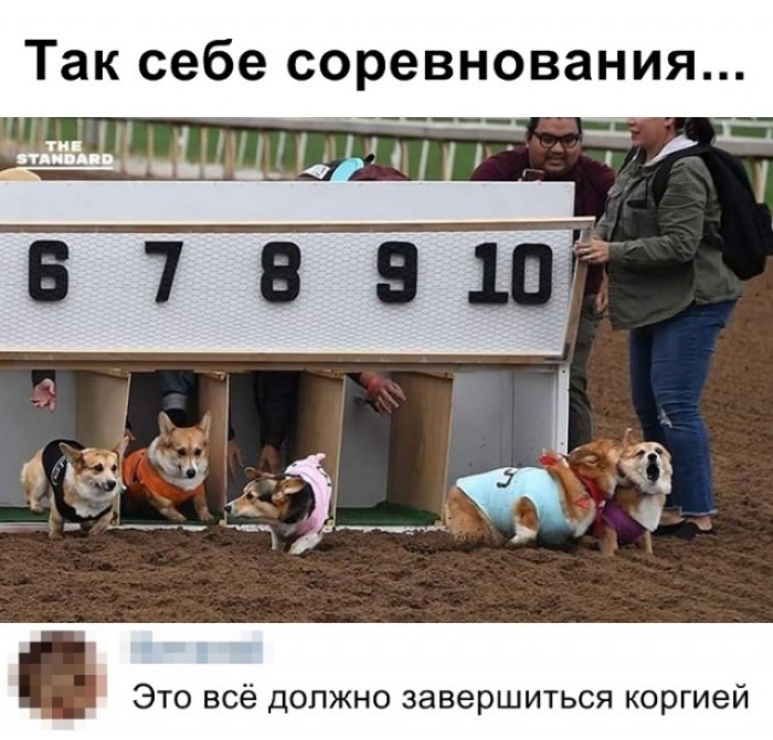 Так себе соревнования ___ _ 1 ч с Это всё должно завершиться киргией