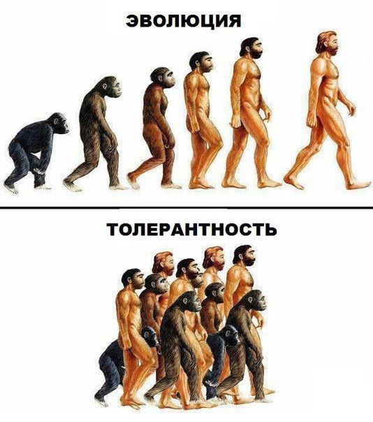 эволюция А ТОЛЕРАНТНОСТЬ
