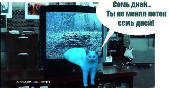 семь дней Ты по мнинп питон семь дипй