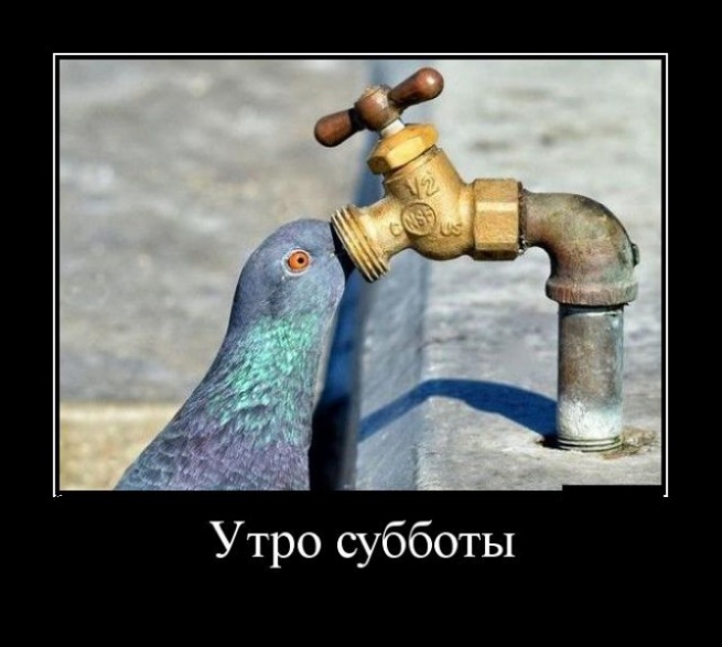 Утро субботы