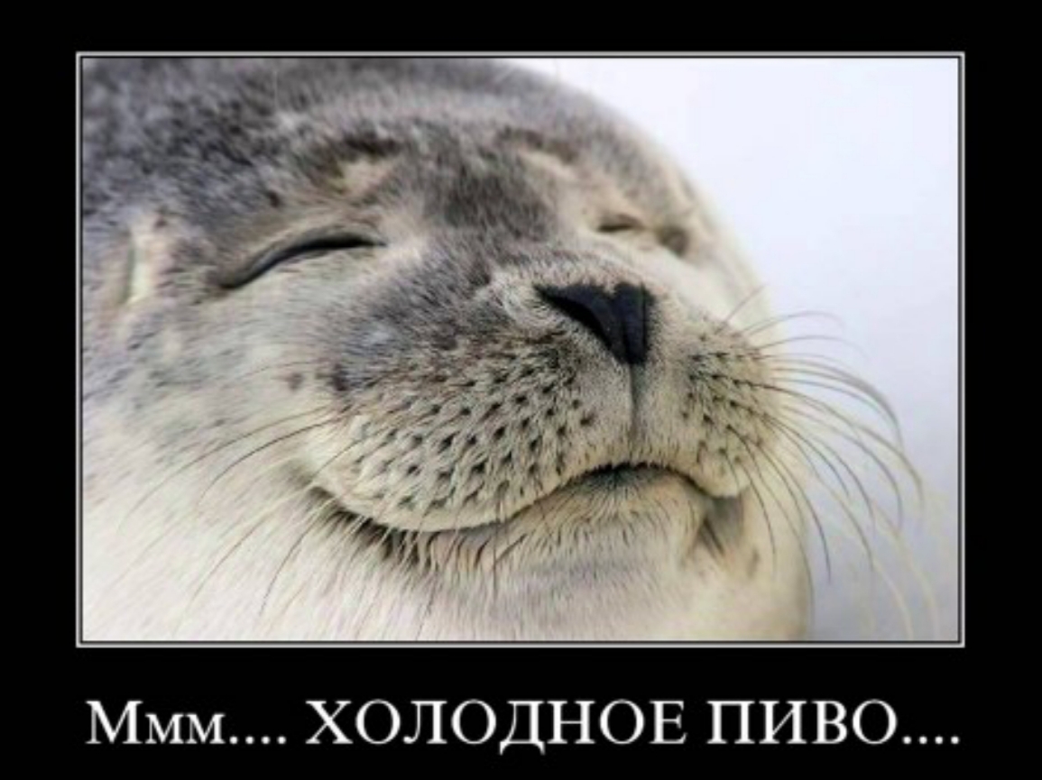 Ммм ХОЛОДНОЕ ПИВО