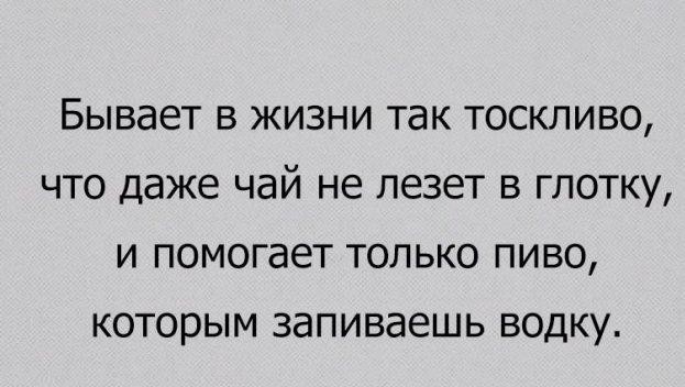 Бывает в жизни так тоскливо что даже чай не лезет в глотку и помогает только пиво КОТОРЫМ ЗЭПИВЗЁШЬ ВОДКУ