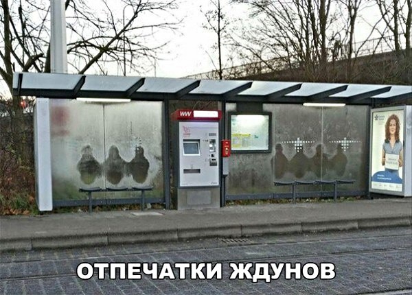 бтпвчдтки Ждунов