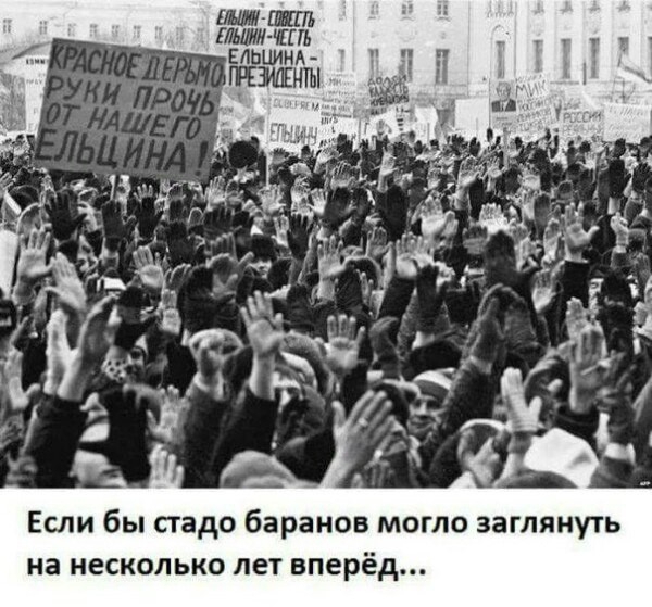 Если бы стадо баранов могло заглянуть на несколько лет вперёд