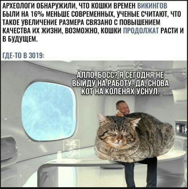 АРХЕПЛШИ ввидгужипи что кпшки шмш викингпв Были нд 15 меньш сошмшных учгиыс счипют по иш увшичшиг шит связдно с повышгниъм кдчштвд их жизни возможна кошки пгпдплжм тт и в вудущш ГДЕгТО В 1019 д Ацпо восвттснгпцняшв выидумдгднпщдшснпвд