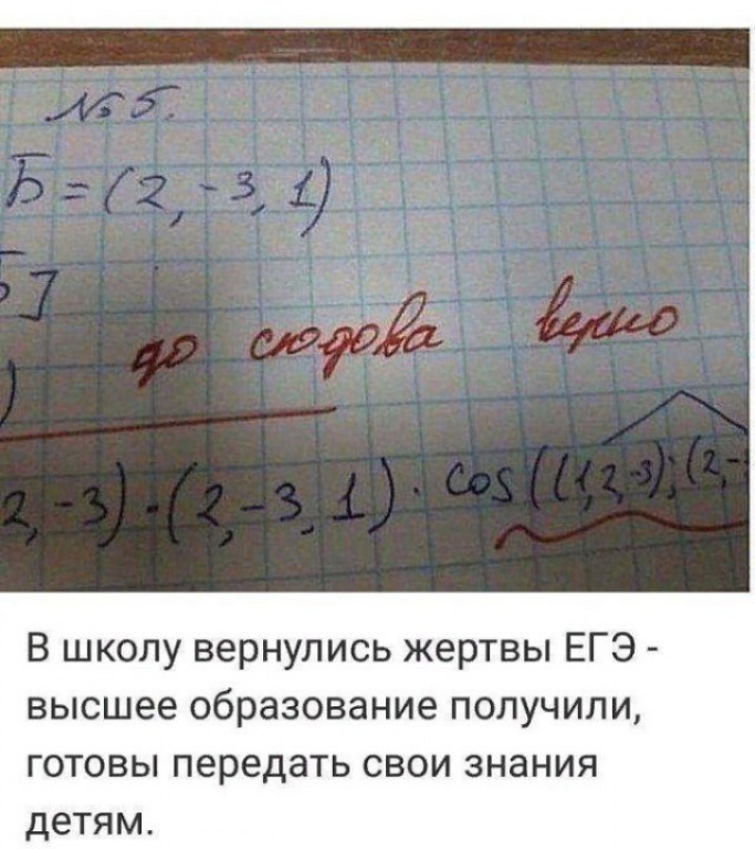 В школу вернулись жертвы ЕГЭ высшее образование получили ГОТОВЫ передать СВОИ знания детям