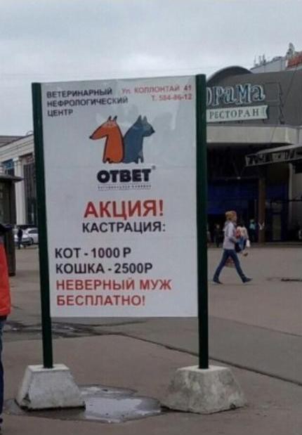 АКЦИЯ КАСТРАЦИЯ кот 1000Р КОШКА 2500Р НЕВЕРНЫЙ МУЖ БЕСПЛАТНО