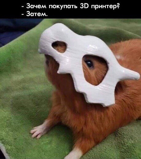 Зачем покупать ЗВ принтер Затем