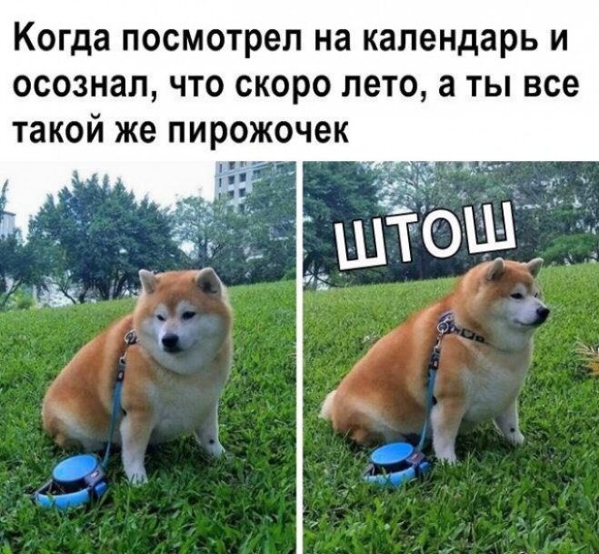 Когда ПОСМОТРЕЛ на календарь И ОСОЗНЗЛ ЧТО СКОРО ЛЕТО а ТЫ все такой же ПИРОЖОЧЕК