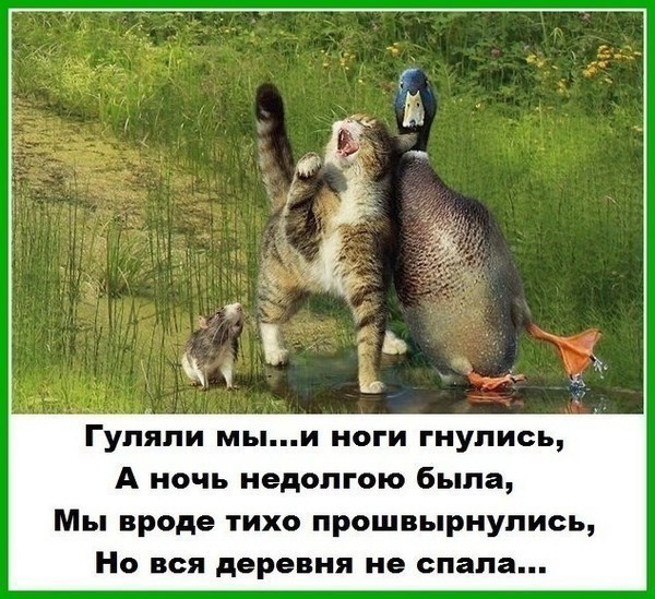 Гупяли мыи ноги гиупись А ночь недопгою была Мы вроде тихо прошвыриупиеь Но вся деревня не спала
