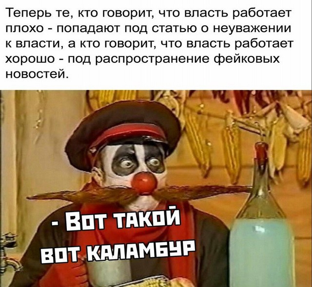 Теперь те кто говорит что власть работает ПЛОХО попадают под СТЭТЬЮ О неуважении к власти а кто говорит что впасть работает хорошо под распространение фейковых новостей