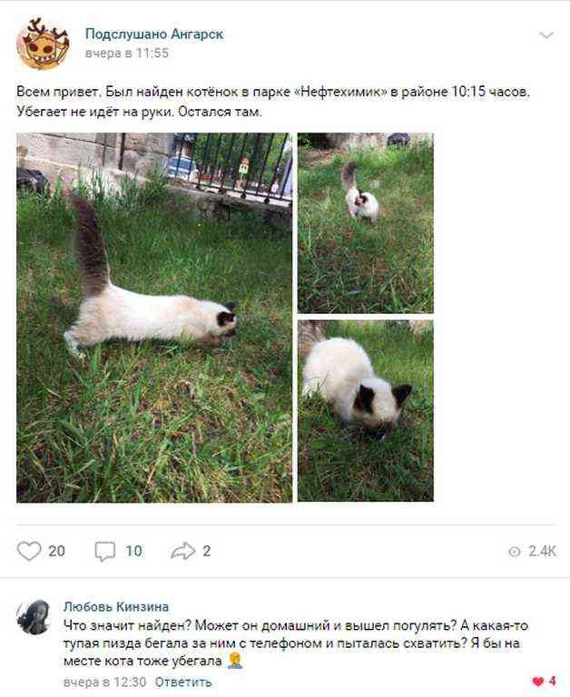 дц _ Всем и в км мест 15 ум а осты гаи мы м там тший шы А ю т изд ичмммфеивм пшли мм а мастит умерит _