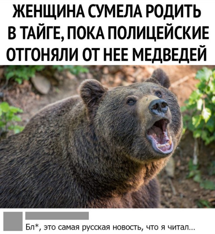 ЖЕНЩИНА СУМЕЛА РОДИТЬ В ТАЙГЕ ПОКА ПОЛИЦЕЙСКИЕ ОТГОНЯЛИ ОТ НЕЕ МЕДВЕДЕЙ Бп это самая русская новость что я читал