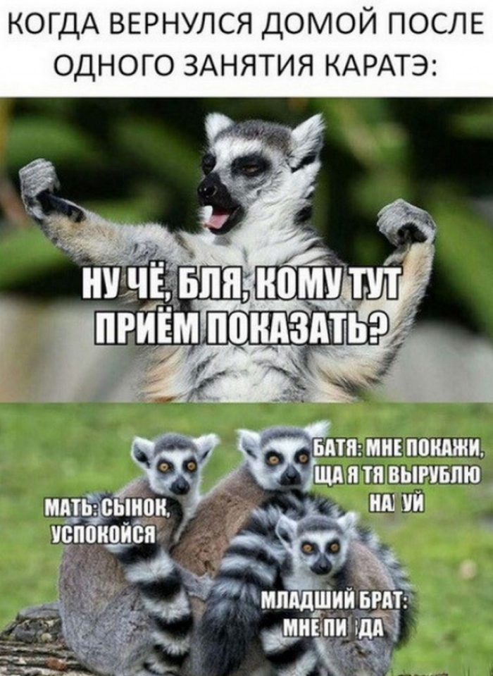 ГДА ВЕРНУЛСЯ ДОМОЙ ПОСЛЕ ОДНОГО ЗАНЯТИЯ КАРАТЭ НТВ МИ ПШШЖИ ШУПУТШВЫРИБПЮ МППЁ БЫИПИ ИВППИВИЁИ МППДШИИ БИН _ _шілпи ідд