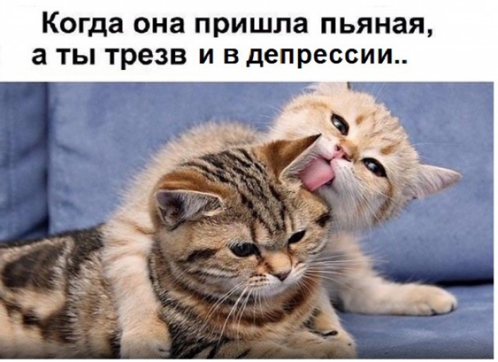 Когда она пришла пьяная а ты трезв и в депрессии