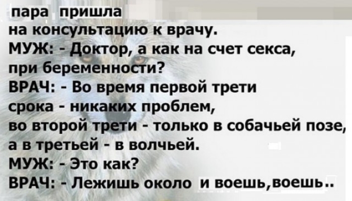 пара пришла на консультацию к врачу МУЖ ор а как на счет секса при беремённоёти ВРАЧ Во время первой трети срока ников проблем во второй и только в собачьей позе а в третьей в волчьей МУЖ Это как ВРАЧ Лежишь около и воешьвоешь