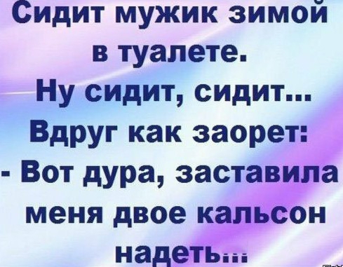 Сидит мужик зимой в туалете Ну сидит сидит Вдруг как заорет Вот дура заставила меня двое кальсон надеть