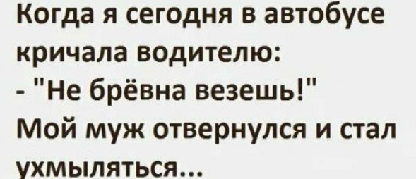 Когда я сегодня в автобусе кричала водителю Не брёвна везешь Мой муж отвернулся и стал ухмыляться