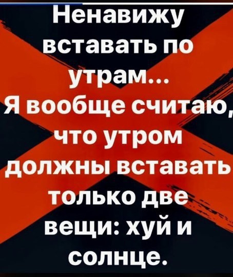 Ненавижу вставать по утрам Я вообще считаю что утром должны вставать только две вещи хуй и солнце